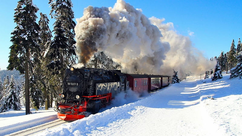 the german brocken railway in winter, track, train, steam, trees, winter, HD wallpaper