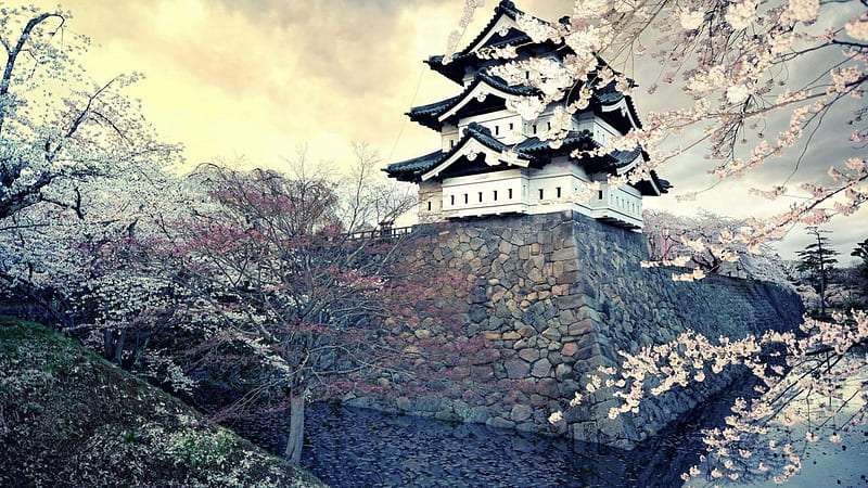 ancient japanese castle in spring, cherry blosom, wall, castle, moat, HD wallpaper