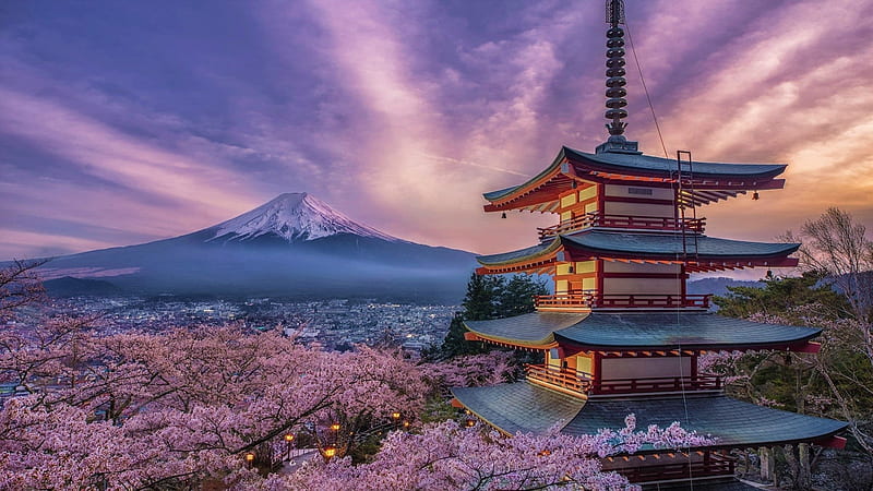 Springtime in Kyoto, sakura, japanese, spring, sky, japan, city, kyoto, shrine, temple, nature, scenery, fuji, HD wallpaper