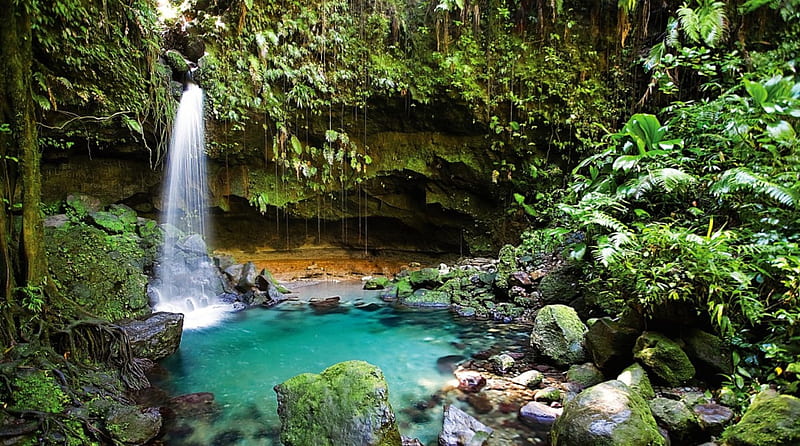 Emerald Pool Falls, rocks, Dominica, moss, bonito, foliage, waterfalls, HD wallpaper