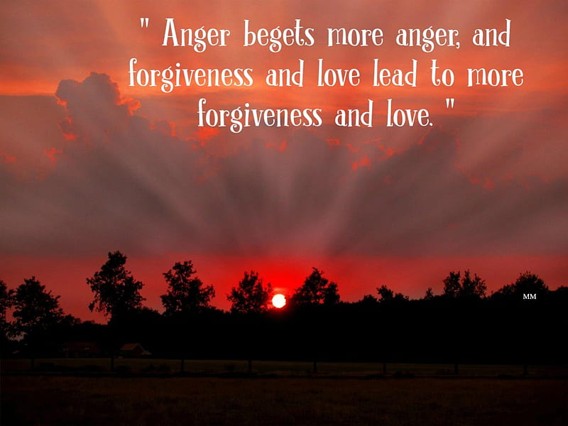 Forgiveness Quotes Wallpaper 14342 - Baltana