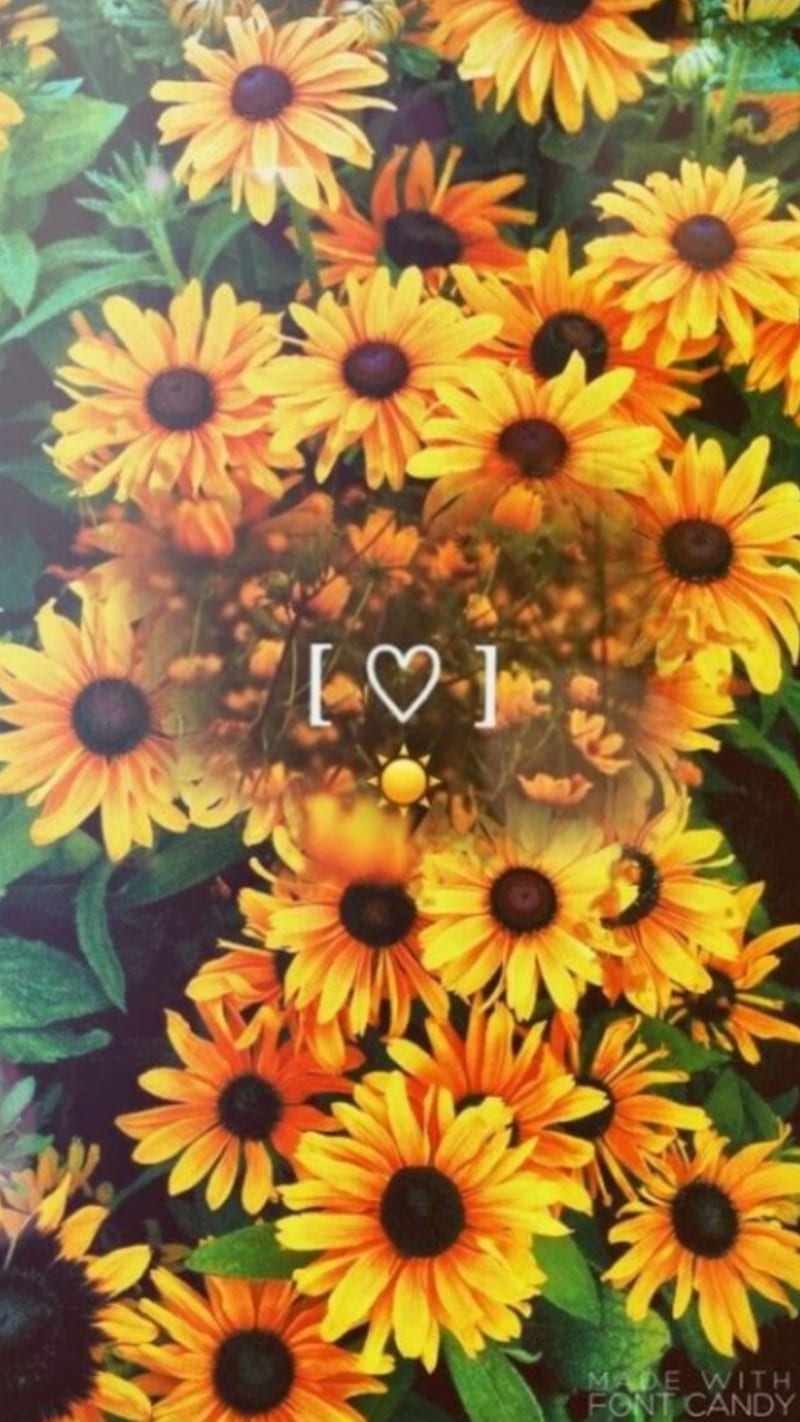 Sunflower, aesthetic, flower, happy, joy, nice, quote, sun, yellow ...