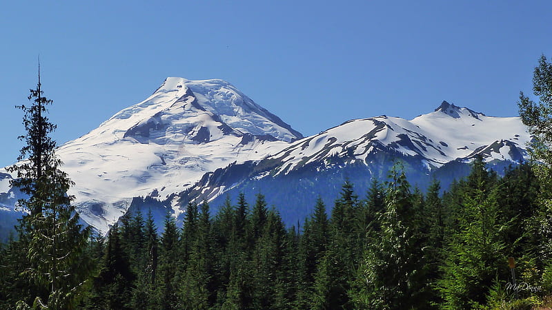 Majestic Mount Baker, forest, mount baker, washington, firefox persona, trees, sky, volcano, mountain, snow, HD wallpaper