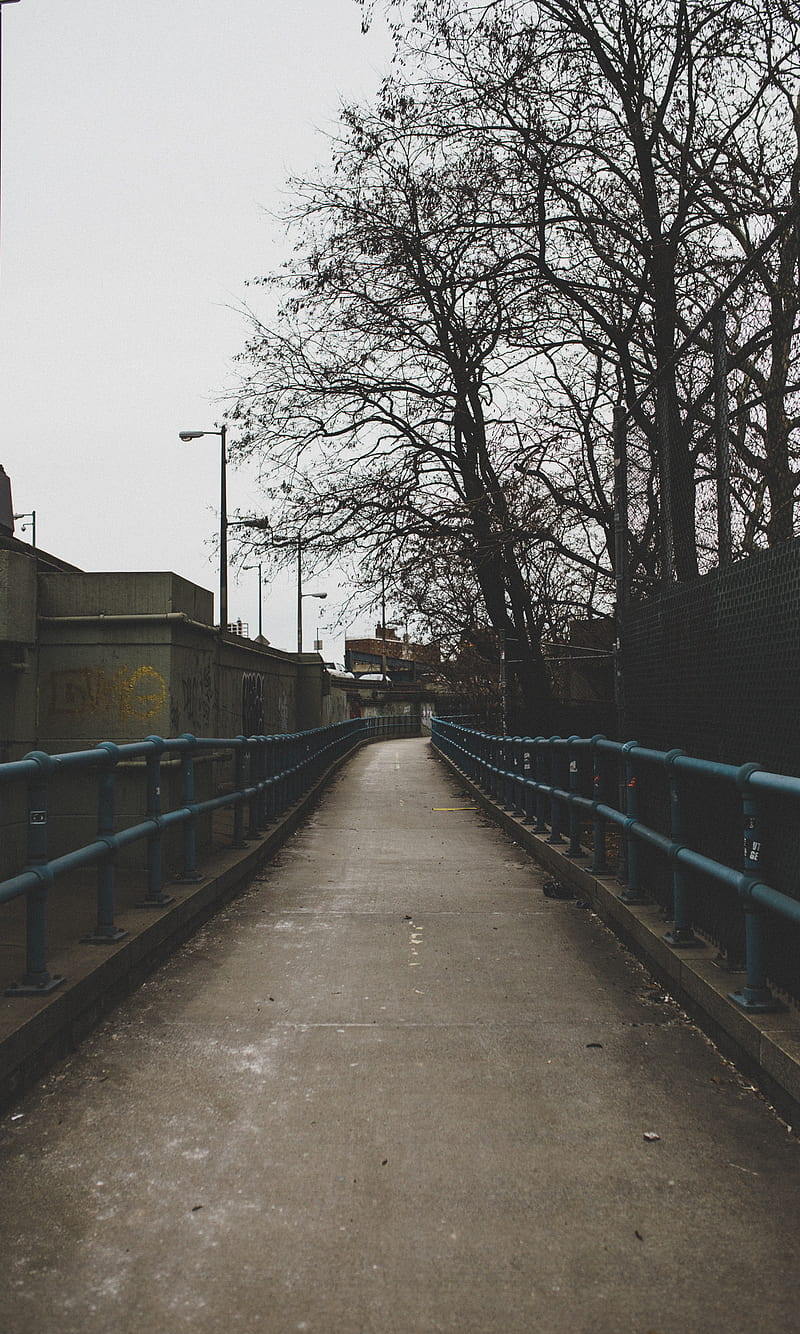 Road, city, nature, HD phone wallpaper Road, city, nature, HD phone wallpaper