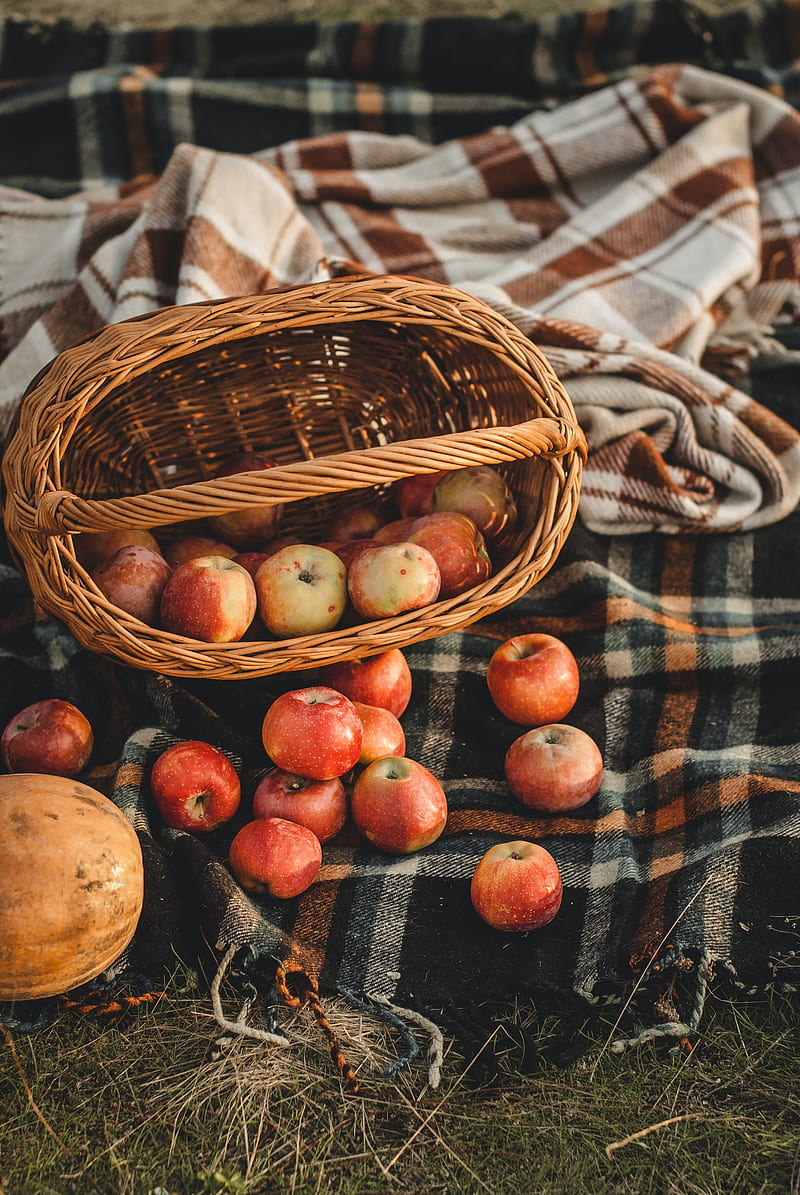 apples, basket, fruits, autumn, HD phone wallpaper