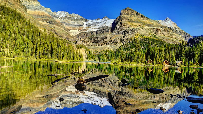 Yoho National Park, rocks, calmness, bonito, trees, beautifyl, Yoho ...