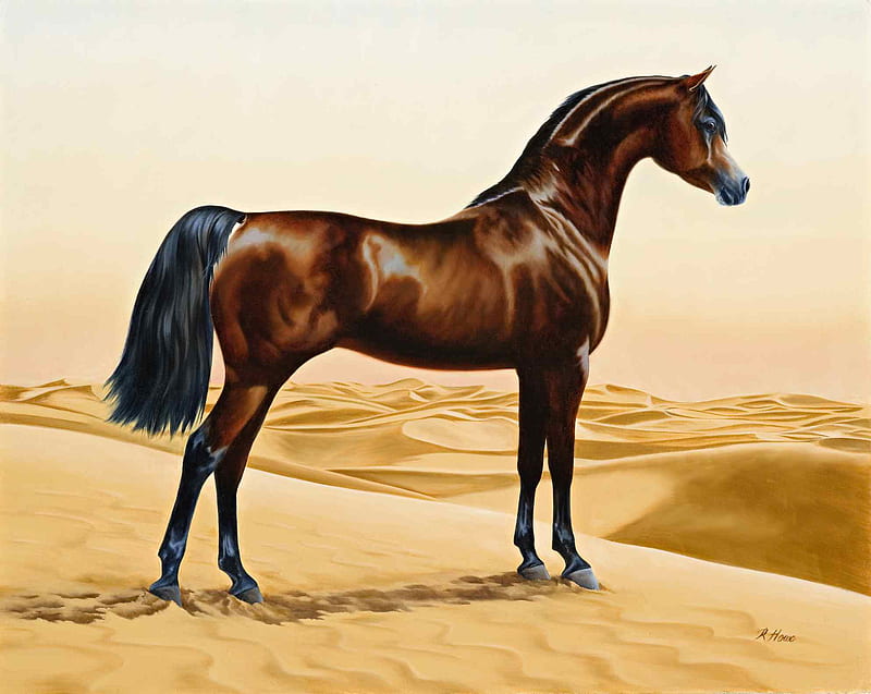 Arab Horse Painting, painting, arab horse, animals, horses, arabian horse, HD wallpaper