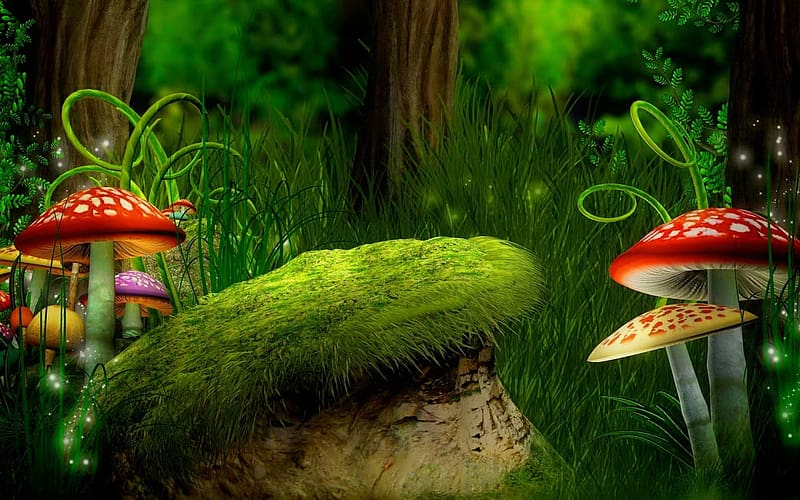 Fantasy Forest, trees, digital, mushrooms, art, stones, HD wallpaper
