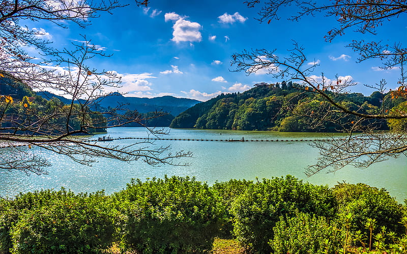 Lake Shorenji hills, forest, Nabari, japan, Asia, HD wallpaper