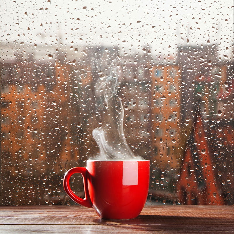 cup, red, coffee, smoke, HD wallpaper