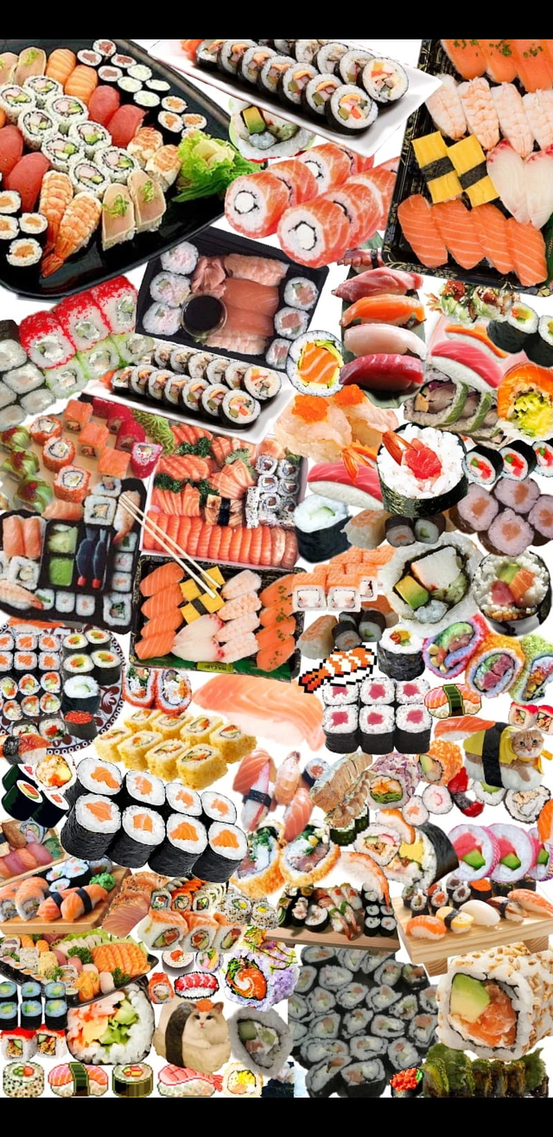 Hình nền Sushi Cá Hồi Nền Hoạt Hình Ngon Và Dễ Thương Nền Sushi Hình Nền  Sushi Background Vector để tải xuống miễn phí  Pngtree