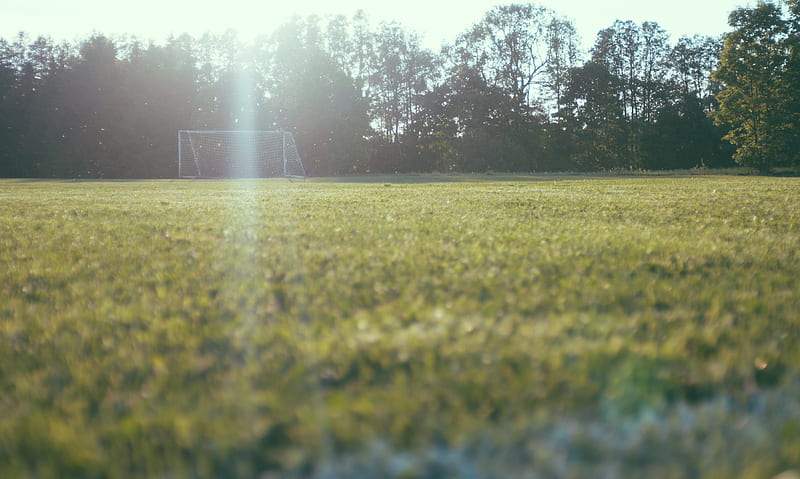 worm's view of soccer goalie on lawn near tall trees, HD wallpaper