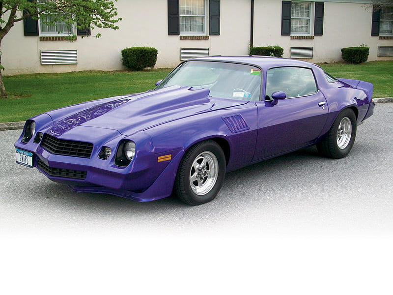 Purple 72, gm, chevy, camaro, bowtie, HD wallpaper | Peakpx