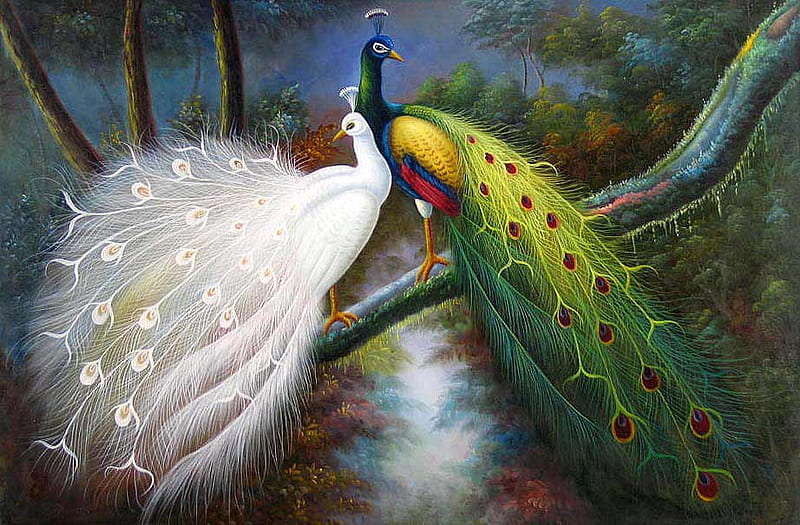BIRDS OF A FAETHER, painting, white, oil, peacocks, HD wallpaper