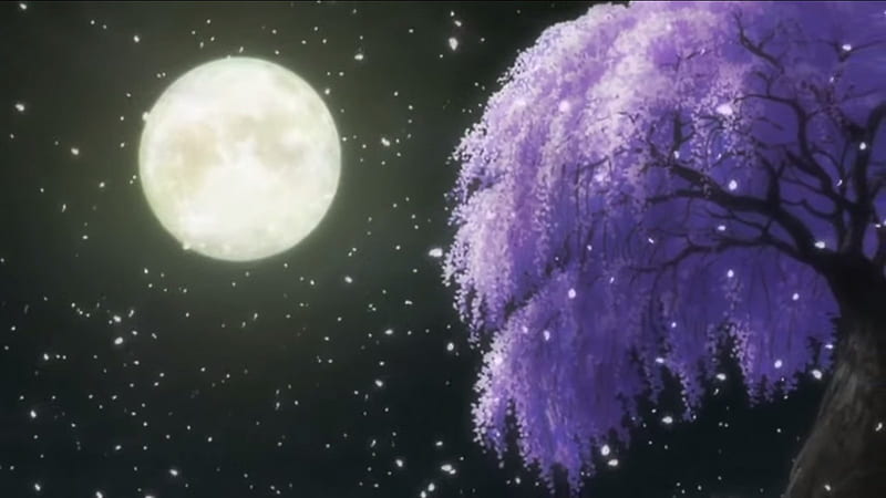 Full moon  Dark Sky Clouds Bridge Starry sky Surreal Fantasy moon  anime HD wallpaper  Pxfuel