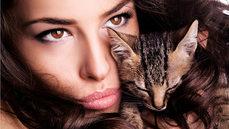 brown hair eyes cat, Cool eyes, brow hair, sexy lipz, cute kitty, HD wallpaper
