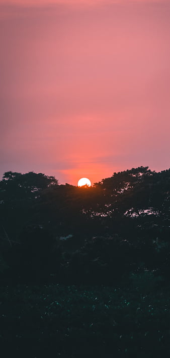 HD sunrise-bangladesh wallpapers | Peakpx