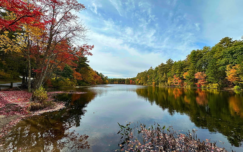 Tarbox Pond in England, autumn, England, calm, pond, HD wallpaper | Peakpx