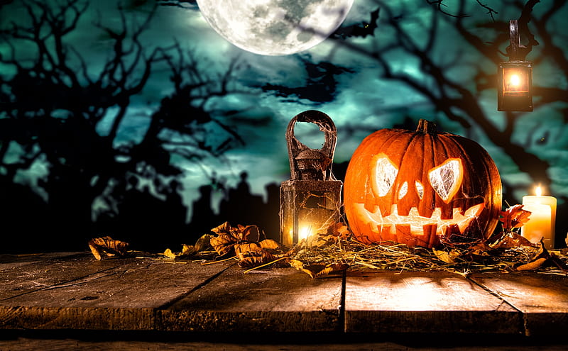 Halloween still life, fear, forest, autumn, lantern, smile, trees ...