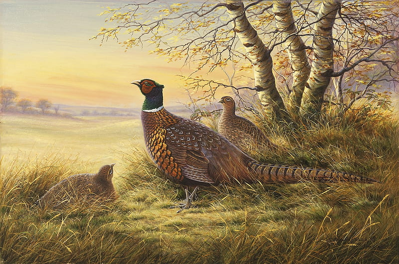 Pheasants in the Morning, birds, morning, nature, paint, tree, HD wallpaper