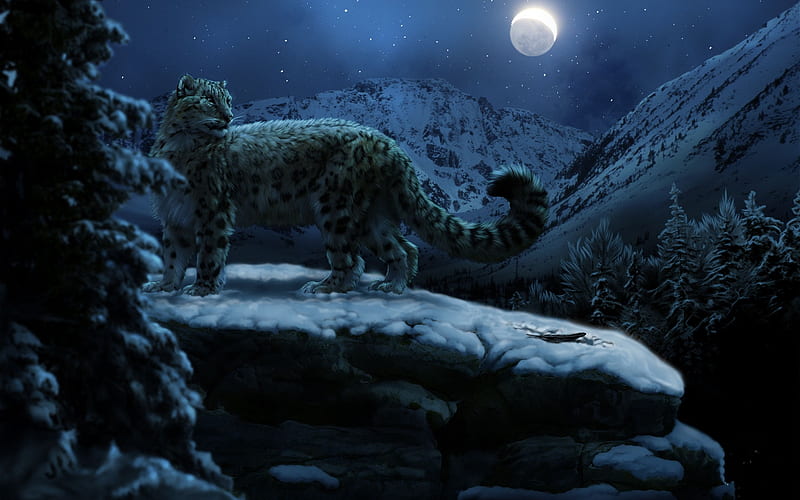 Snow Leopard At Night, forest, abstract, art work, mountain, moon, 3d, snow, dark, night, HD wallpaper