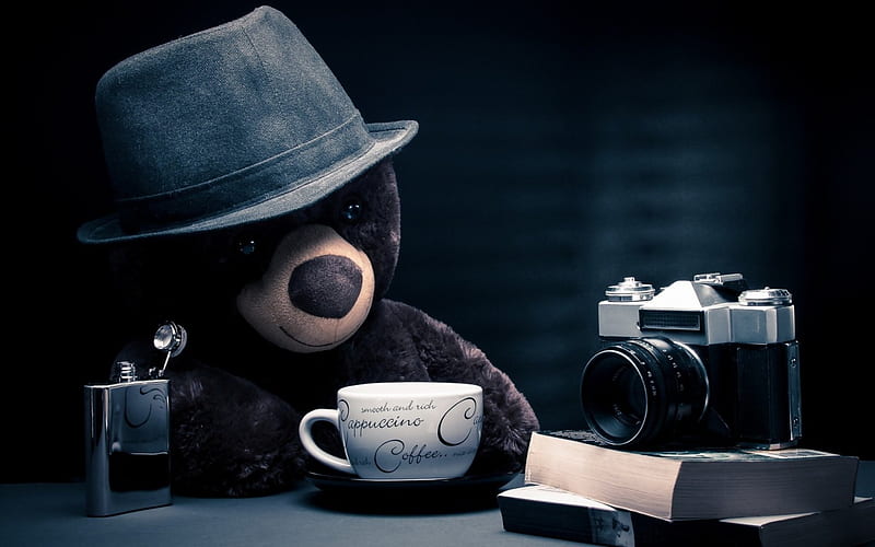 *, male, teddy, book, bear, camera, man, hat, still life, gentleman, alcohol, coffee, cup, flask, stuff, HD wallpaper