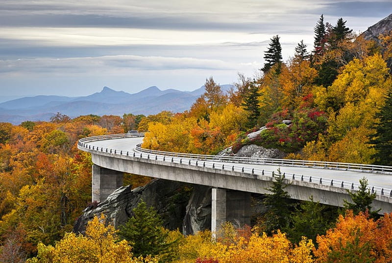 Linn Cove Viaduct, North Carolina, forest, Grandfather mountain, autumn, concrete bridge, bonito, trees, HD wallpaper
