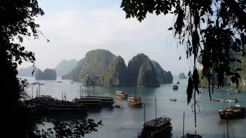 halong bay vietnam, boats, islands, bay, trees, HD wallpaper