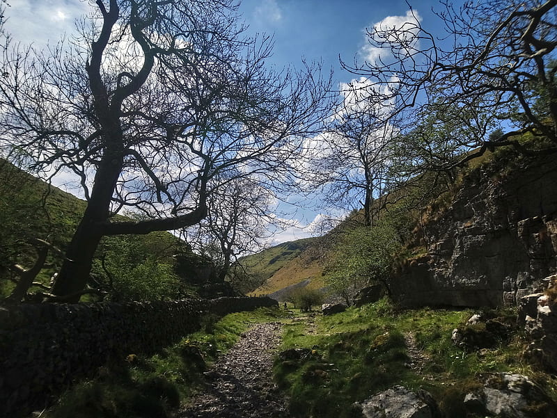 path, hills, trees, stones, HD wallpaper