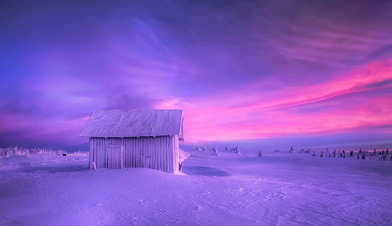 Winter, house, purple, snow, cottage, norwey, pink, HD wallpaper