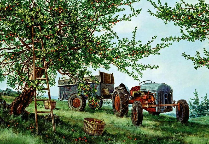 Apple Time F1, art, harvest, tractor, apples, trees, illustration, artwork, painting, wide screen, HD wallpaper