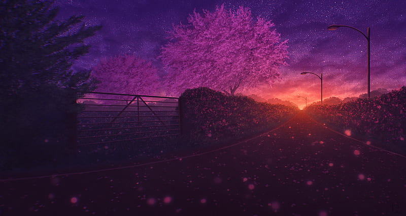 anime landscape, night, sakura blossom, sunset, road, scenic, Anime, HD wallpaper