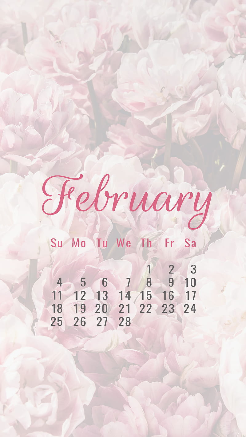 15 February Wallpaper Aesthetic Purple