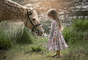 HD little girl with horse wallpapers Peakpx