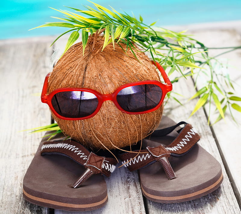 Funny Coconut, beach, glasses, summer, vacation, HD wallpaper