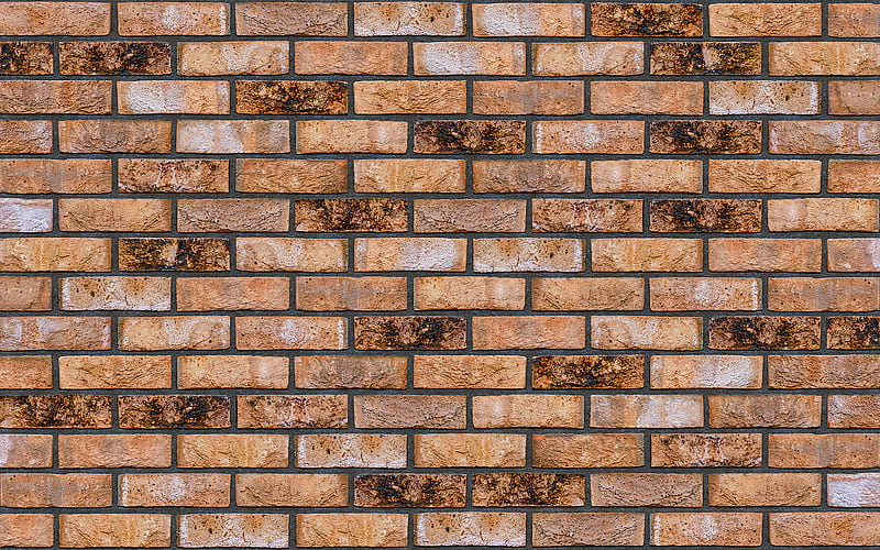 brown brickwall, close-up, identical bricks, brown bricks, bricks textures, brick wall, bricks background, brown stone background, bricks, brown bricks background, HD wallpaper