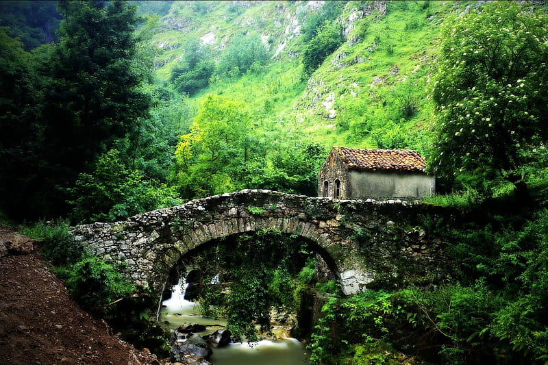 A Very Old Stone Bridge, forest, house, stone, bridge, HD wallpaper