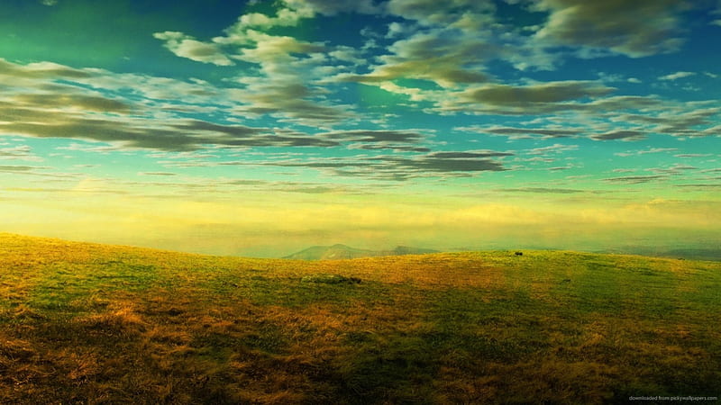 colorful grass on high plains, colors, plains, clouds, grass, HD wallpaper