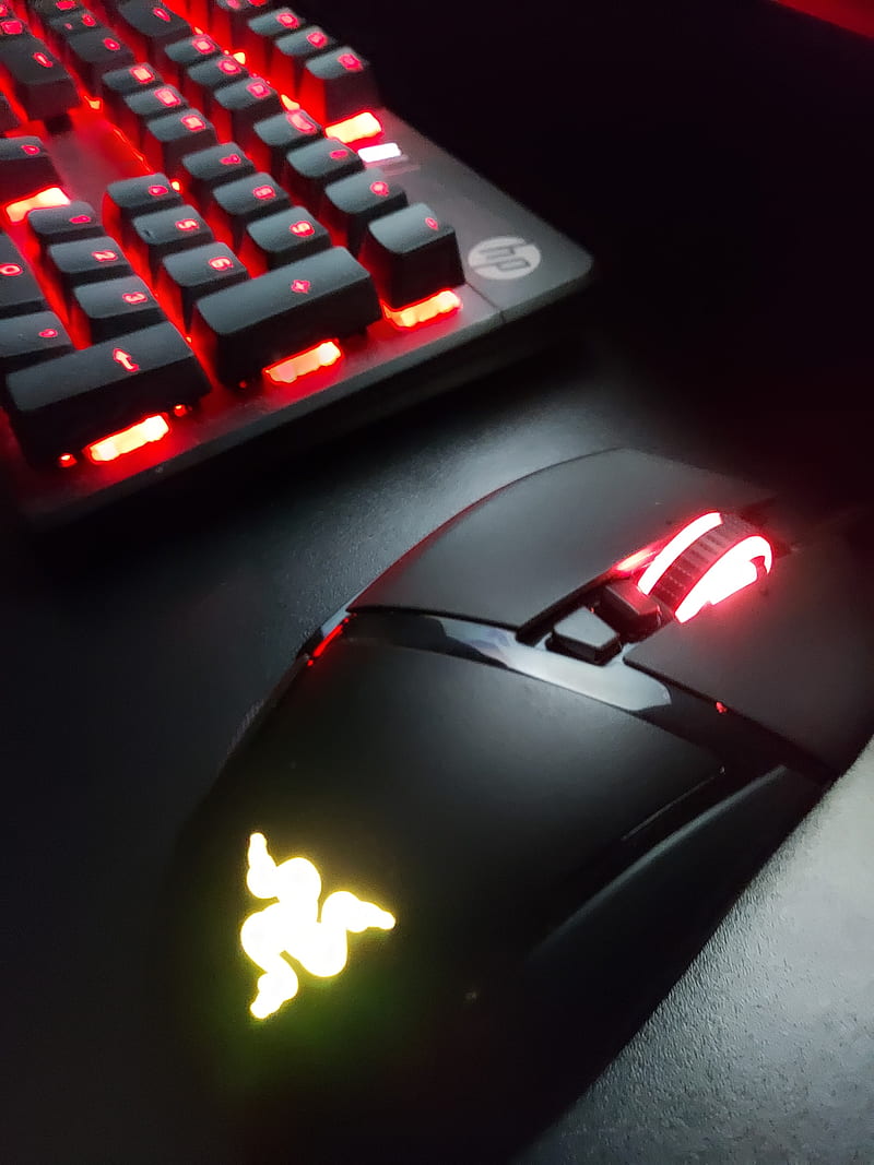 Gaming Mouse Computer Gamer Hd Mobile Wallpaper Peakpx