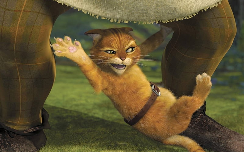 Shrek, Puss, Movie, Cat, HD wallpaper