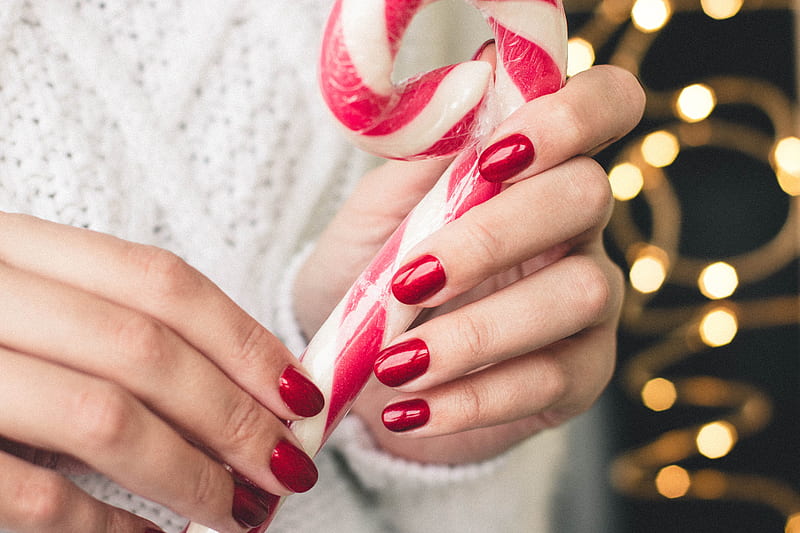 Close-Up of Person Holding Candy Cane, HD wallpaper