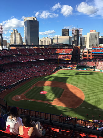 St. Louis Cardinals Baseball Team Logo Editorial Photography - Image of  baseball, background: 105159757