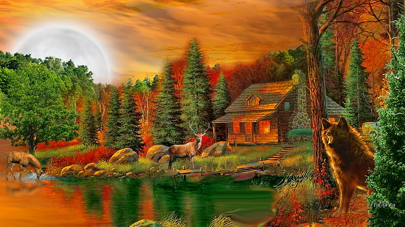 Homestead, forest, remote, cabin, sky, trees, deer, lake, serene, full moon, wolf, tranquility, HD wallpaper
