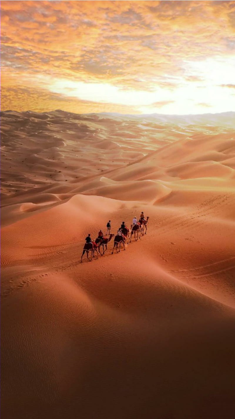 Arabs, camel, desert, HD phone wallpaper
