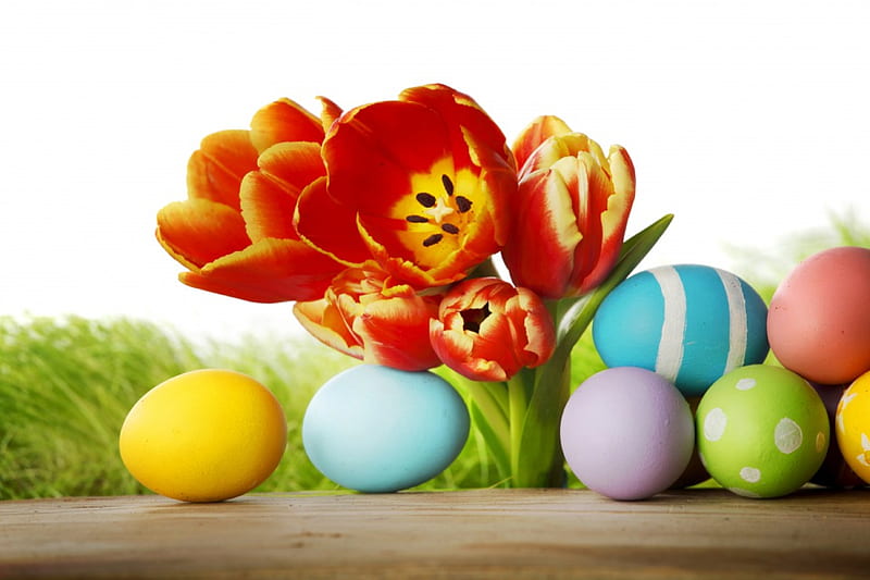 Easter Time, Grass, Eggs, Flowers, Spring, Tulips, Easter, Hd Wallpaper 