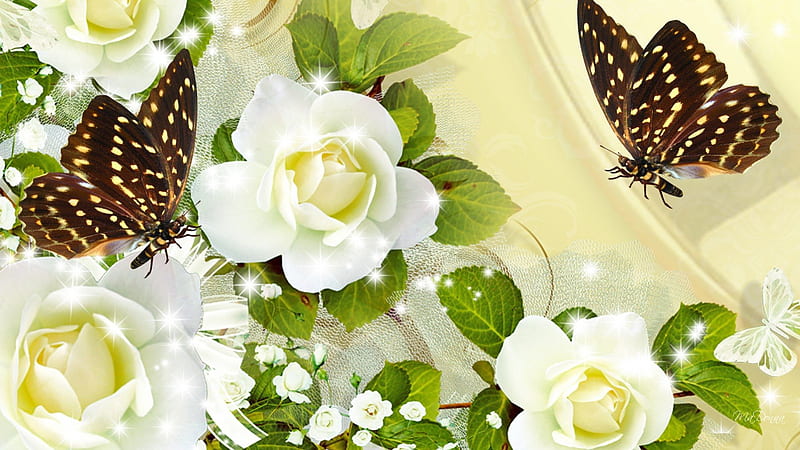 Sparkle of Cream Roses, flowers, shine, flash, silk, glitz, sparkle, gold, ivory, butterfly, papillon, flowers, stars, satin, glitter, white roses, butterflies, spring, roses, summer, babies breath, cream, HD wallpaper
