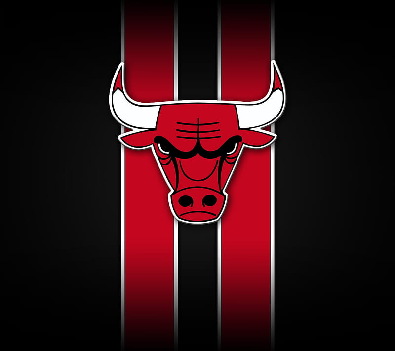 Chicago Bulls, basketball, nba, HD wallpaper