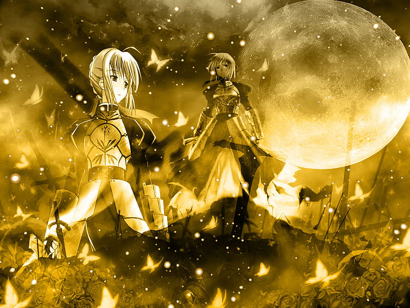 Sabers Moon Nigth, swords, female, cloud, sabers, rose, yellow, sky, fate stay night, moon, butterfly, night, HD wallpaper