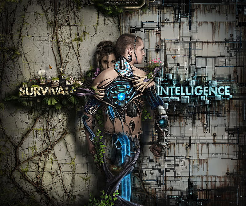 Survival vs Intelligence, survival, intelligence, HD wallpaper