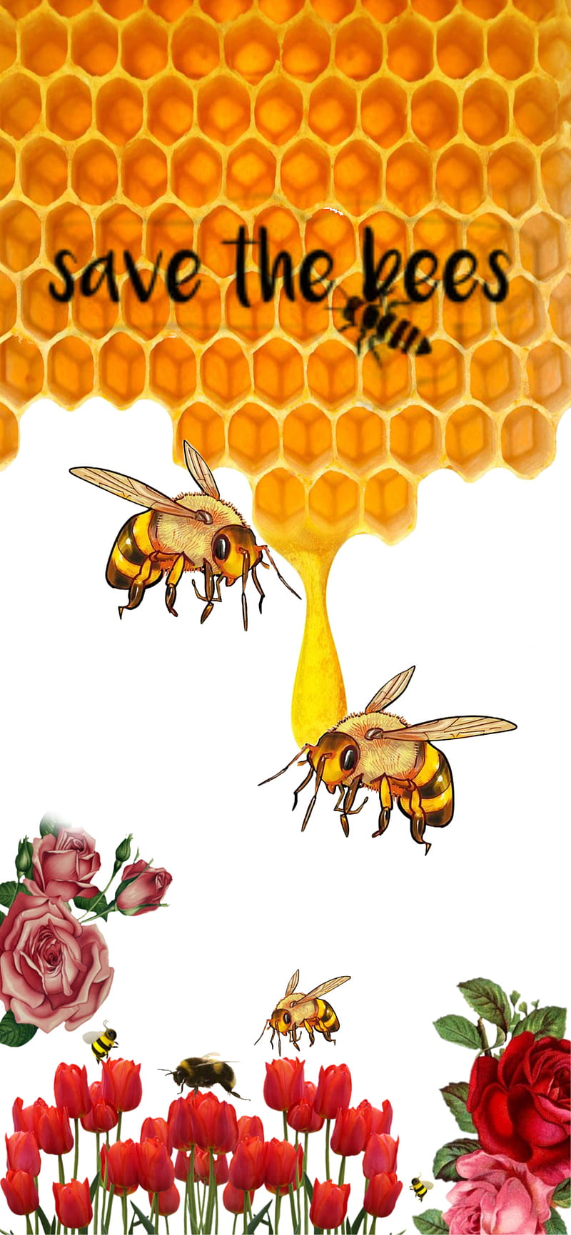 Saves the bees, bee, flowers, honey, save the bees, wasps, HD phone wallpaper